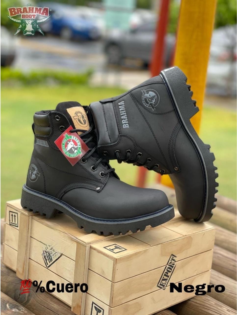 Brahma Clásica Cuero Legitimo