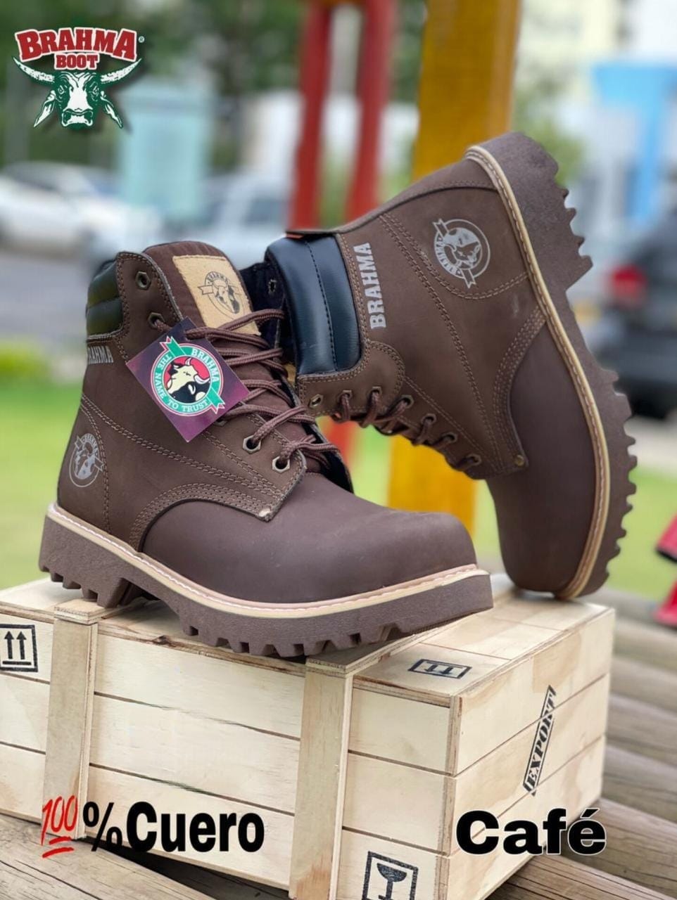 Brahma Clásica Cuero Legitimo